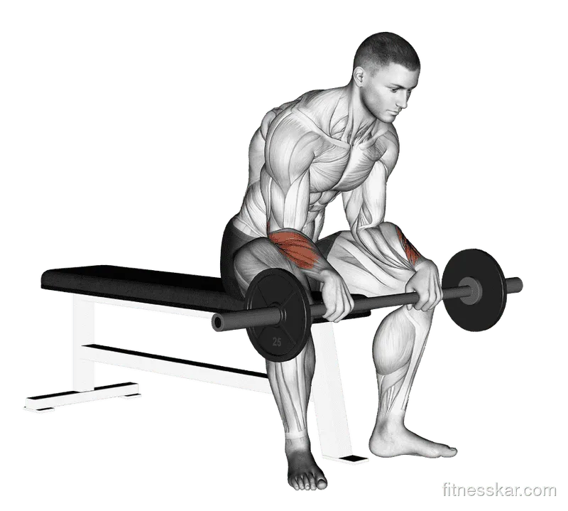 Barbell Reverse Wrist Curl