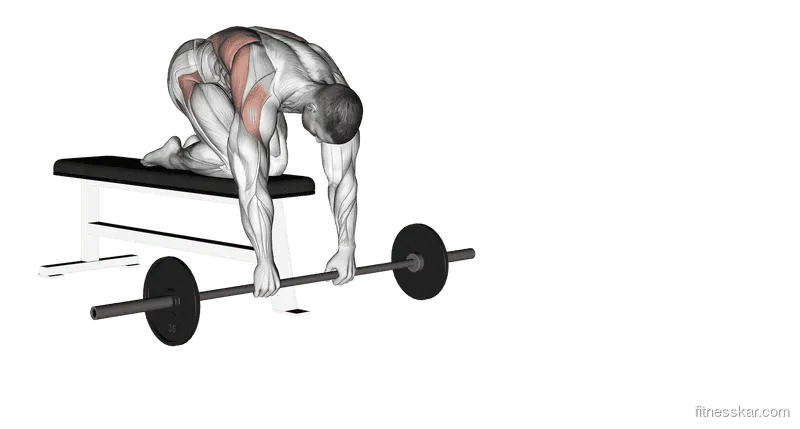 Barbell Rollout from Bench