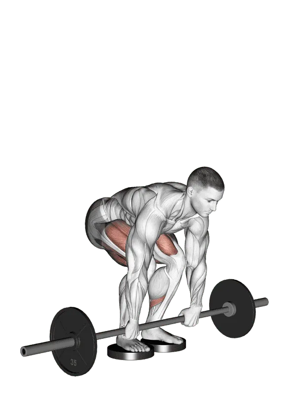 Barbell Romanian Deadlift From Deficit, Male demonstration, Start