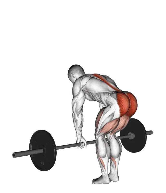 Barbell Romanian Deadlift
