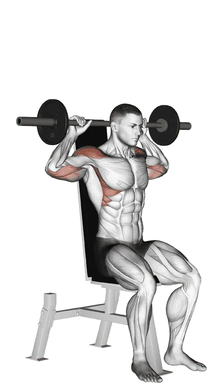Barbell Seated Bradford Rocky Press