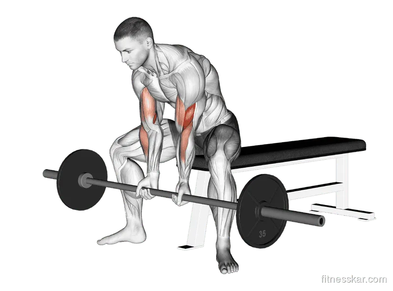 Barbell Seated Close-Grip Concentration Curl
