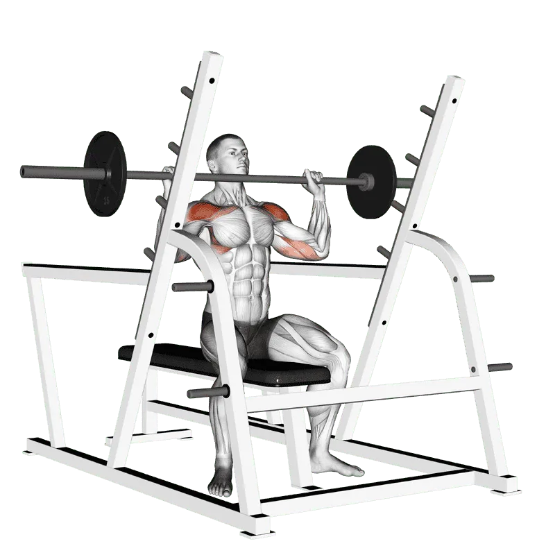 Barbell Seated Military Press (Inside Squat Cage)