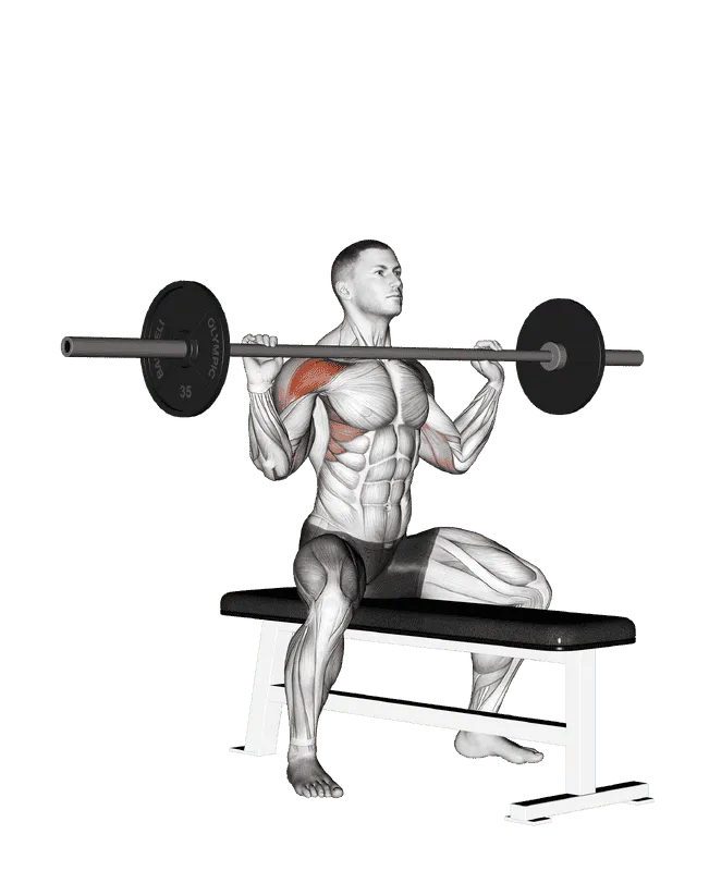 Barbell Seated Overhead Press