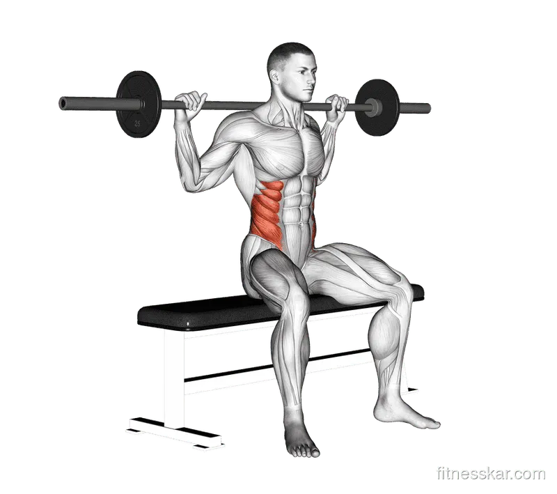 Barbell Seated Twist