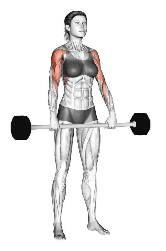 Barbell Shoulder Grip Upright Row