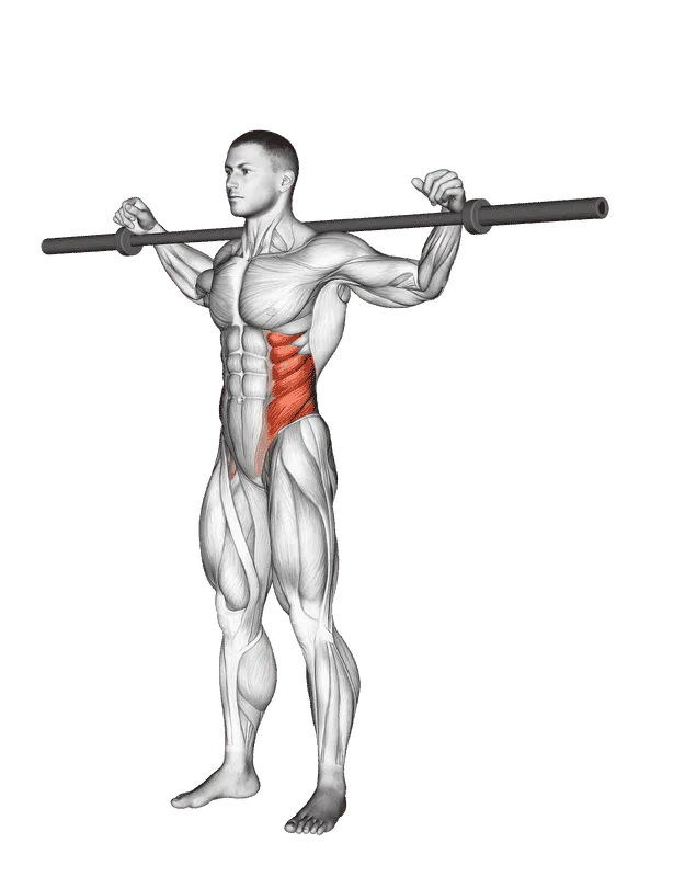Barbell Side Bend