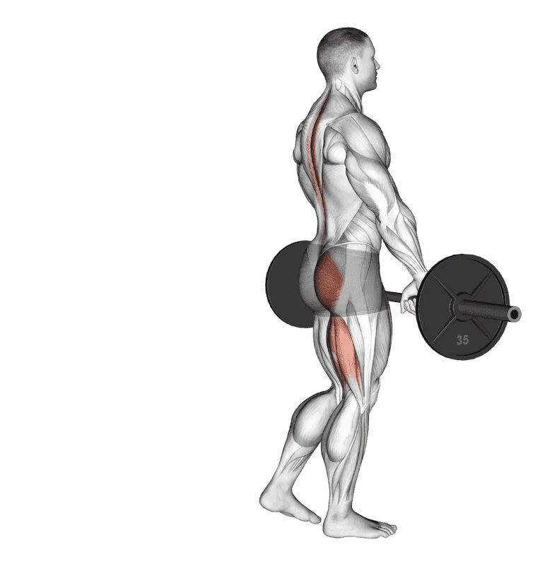 Barbell Single-Leg Deadlift