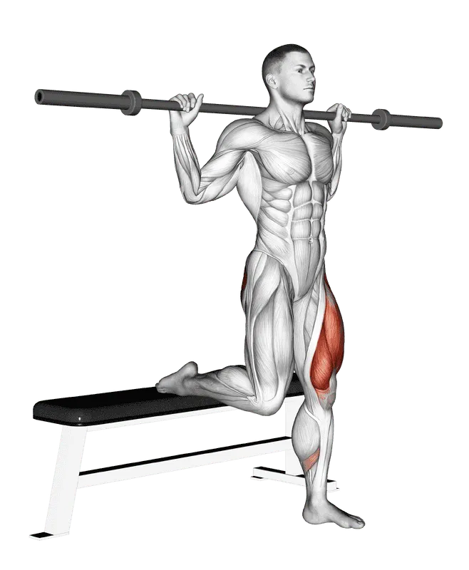 Barbell Single-Leg Split Squat