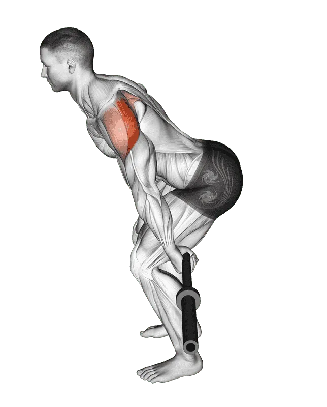 Barbell Skier