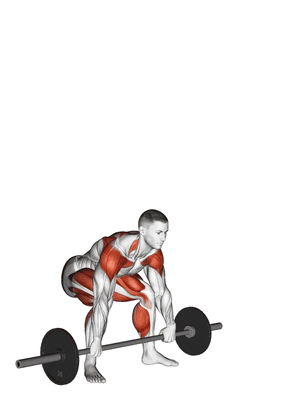 Barbell Snatch