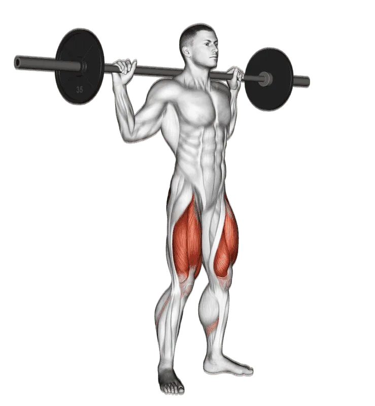Barbell Speed Squat, Male demonstration, Start