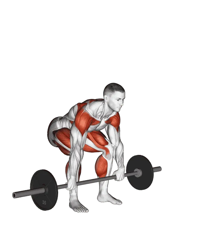 Barbell Split Clean, Male demonstration, Start