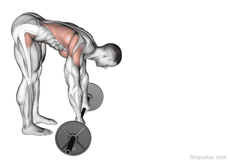 Barbell Standing Ab Rollout