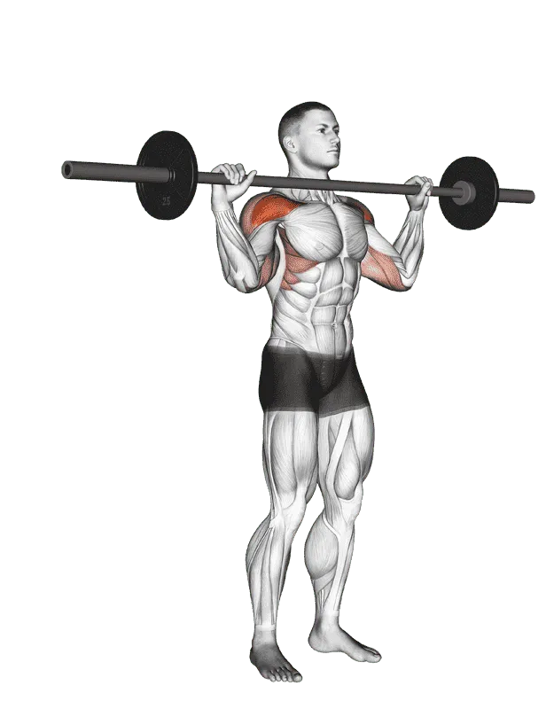 Barbell Standing Bradford Press, Male demonstration, Start