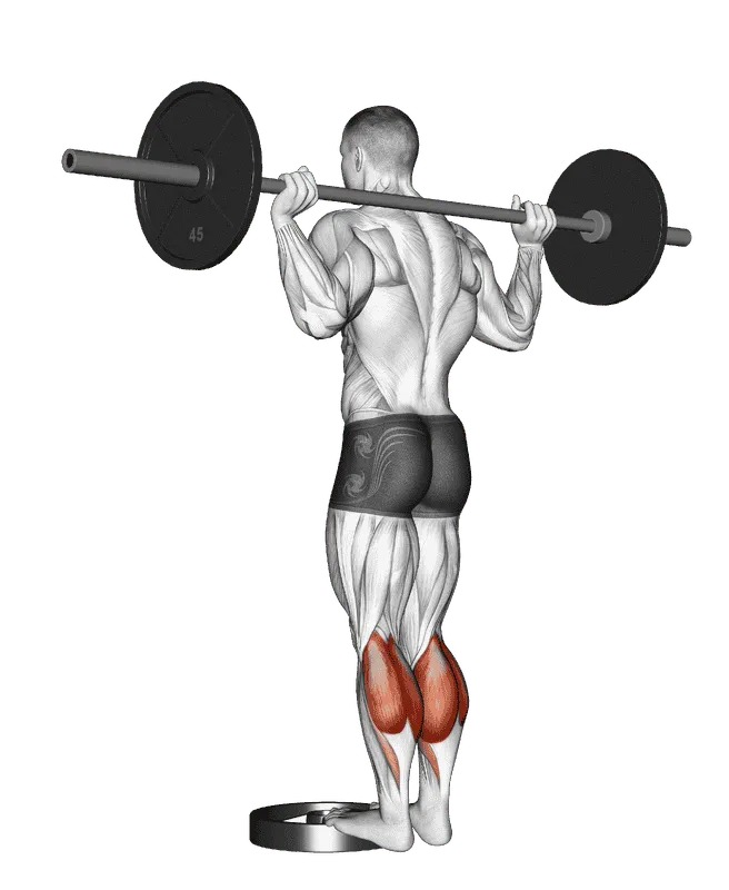 Barbell Standing Calf Raise