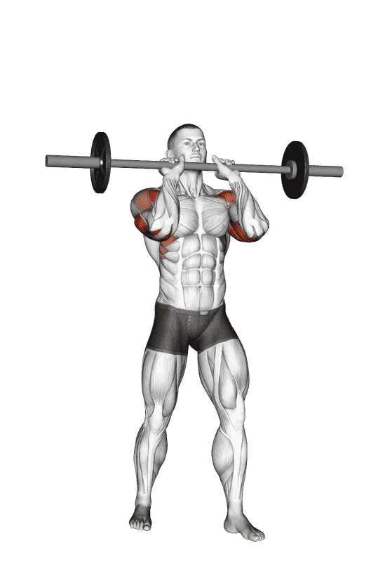 Barbell Standing Close-Grip Military Press, Male demonstration, Start