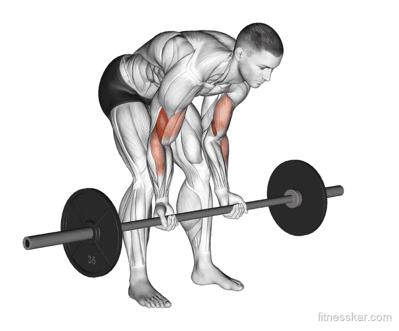 Barbell Standing Concentration Curl, Male demonstration, Start