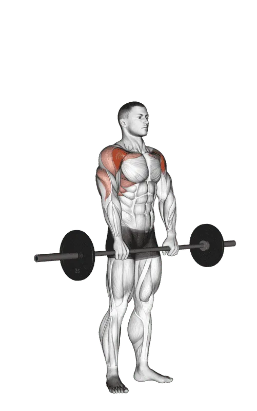 Barbell Standing Front Raise Overhead