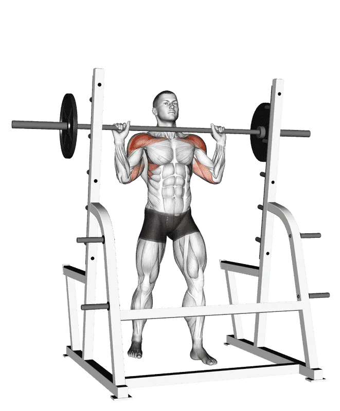 Barbell Standing Military Press