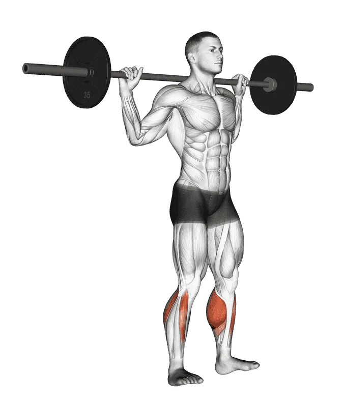 Barbell Standing Rocking Leg Calf Raise