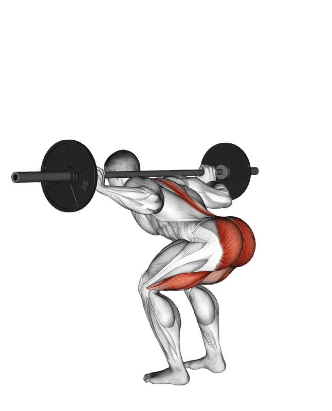 Barbell Stiff-Leg Good Morning