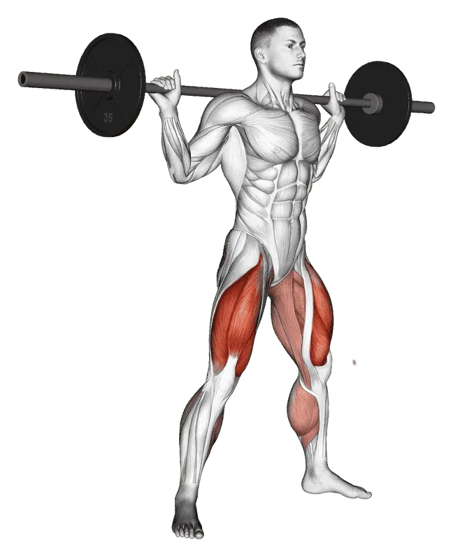 Barbell Sumo Squat, Male demonstration, Start