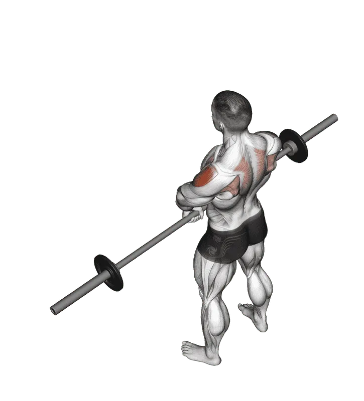 Barbell Upright Row