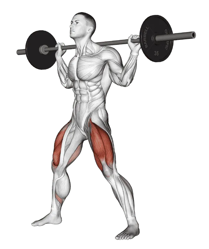 Barbell Wide Squat, Male demonstration, Start