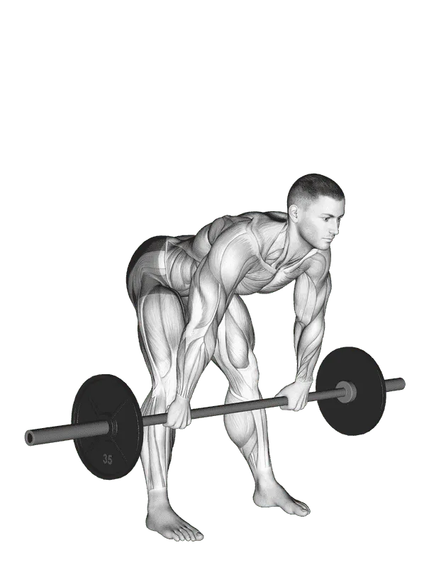 Barbell Wide Stance Stiff Leg Deadlift
