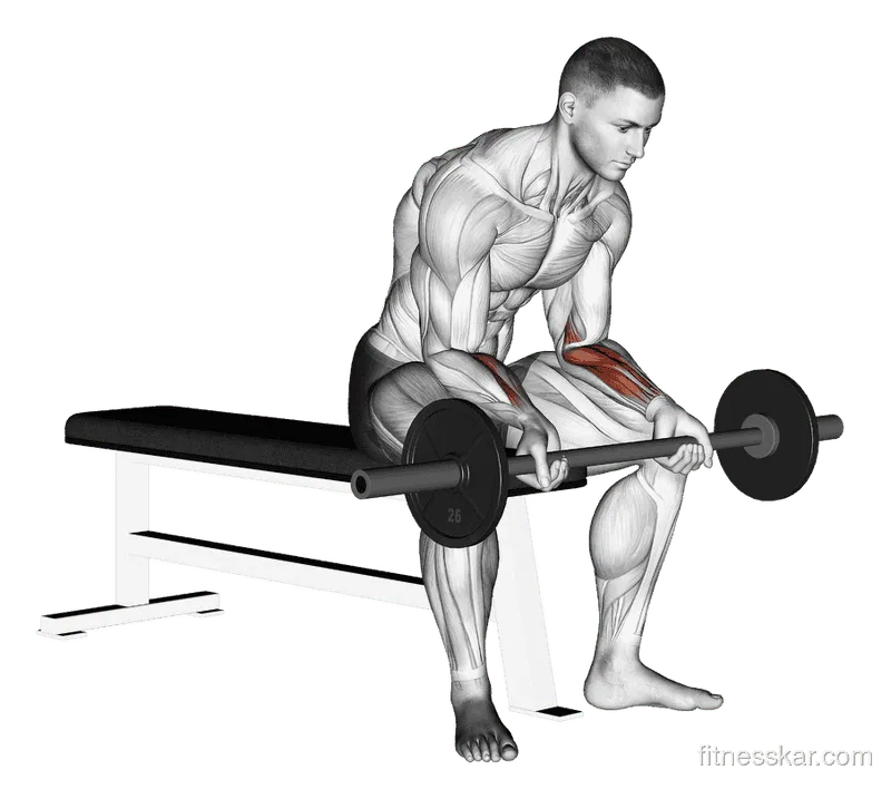 Barbell Wrist Curl