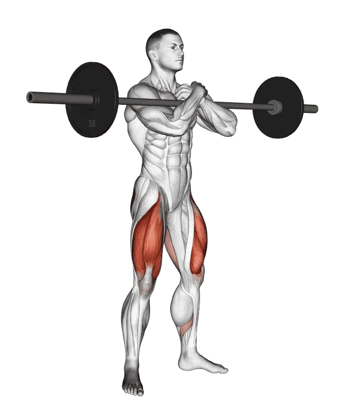 Barbell Zercher Squat