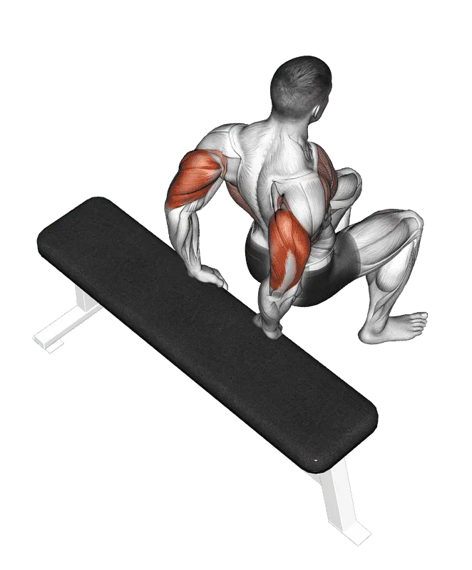Bench Dip (Knees Bent)