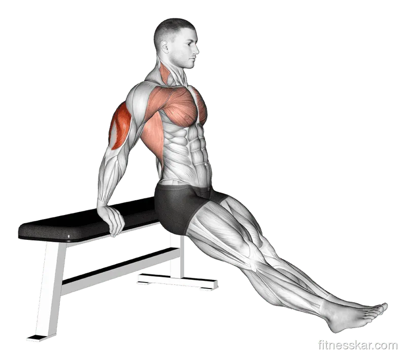 Bench Dip on Floor, Male demonstration, Start