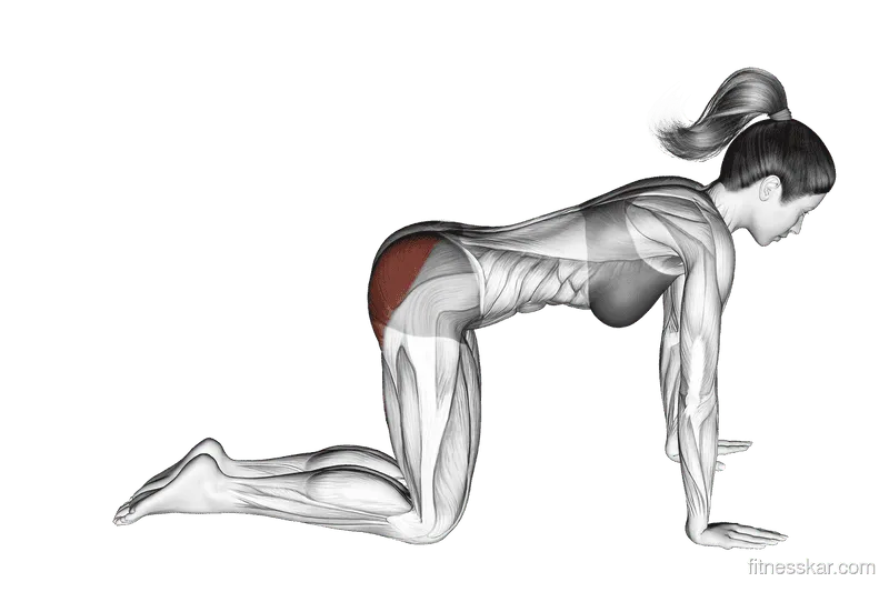 Bent-Leg Kickback (Kneeling)