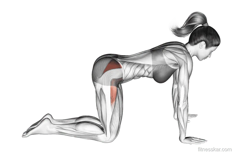 Bent-Leg Side Kick (Kneeling)