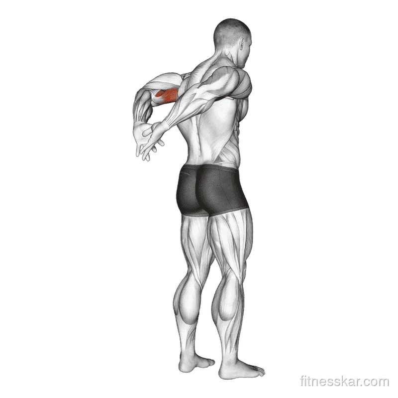 Biceps Stretch Behind The Back