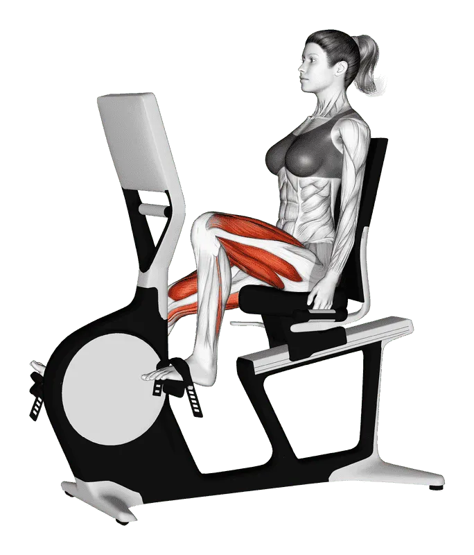Bicycle Recline Walk, Female demonstration, Start