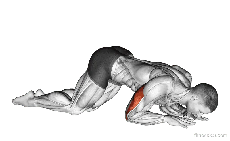 Bodyweight Kneeling Triceps Extension
