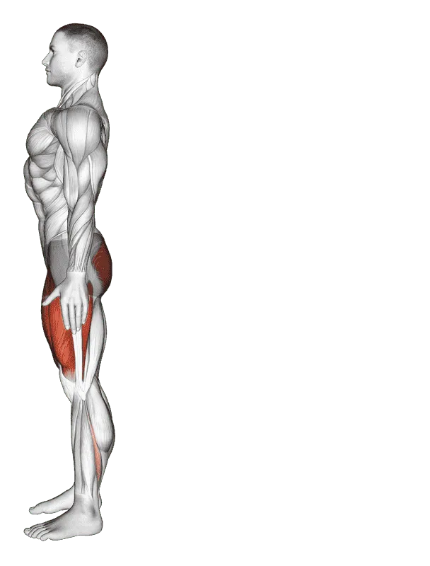 Bodyweight Rear Lunge