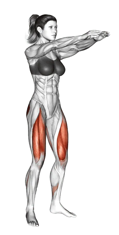 Bodyweight Squat, Female demonstration, Start