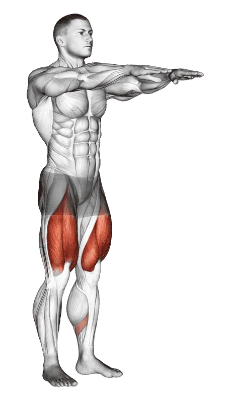 Bodyweight Squat
