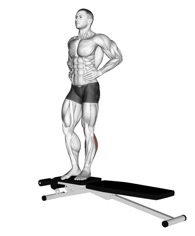 Box Jump Down with 1-Leg Stabilization, Male demonstration, Start