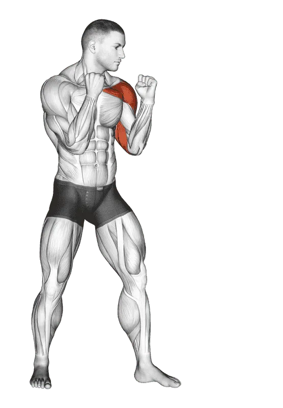 Boxing Jab