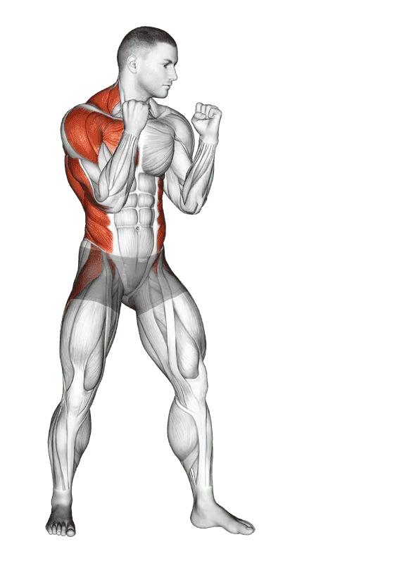 Boxing Right Cross, Male demonstration, Start