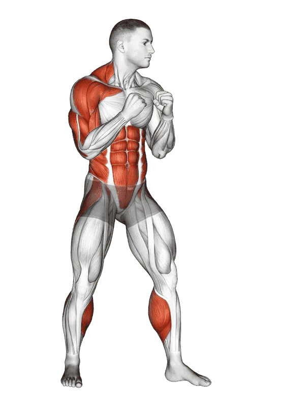 Boxing Right Uppercut, Male demonstration, Start