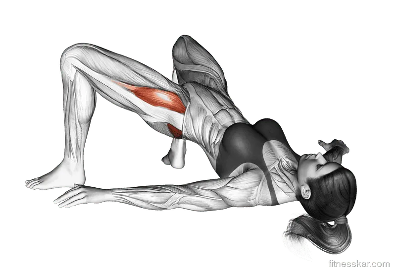 Bridge Hip Abduction