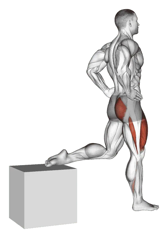 Bulgarian Split Squat