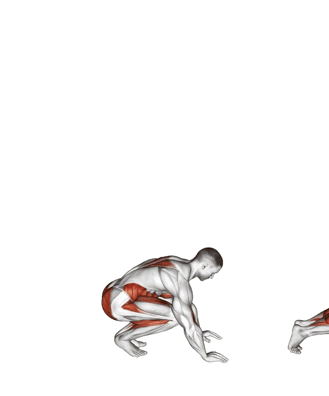 Burpee