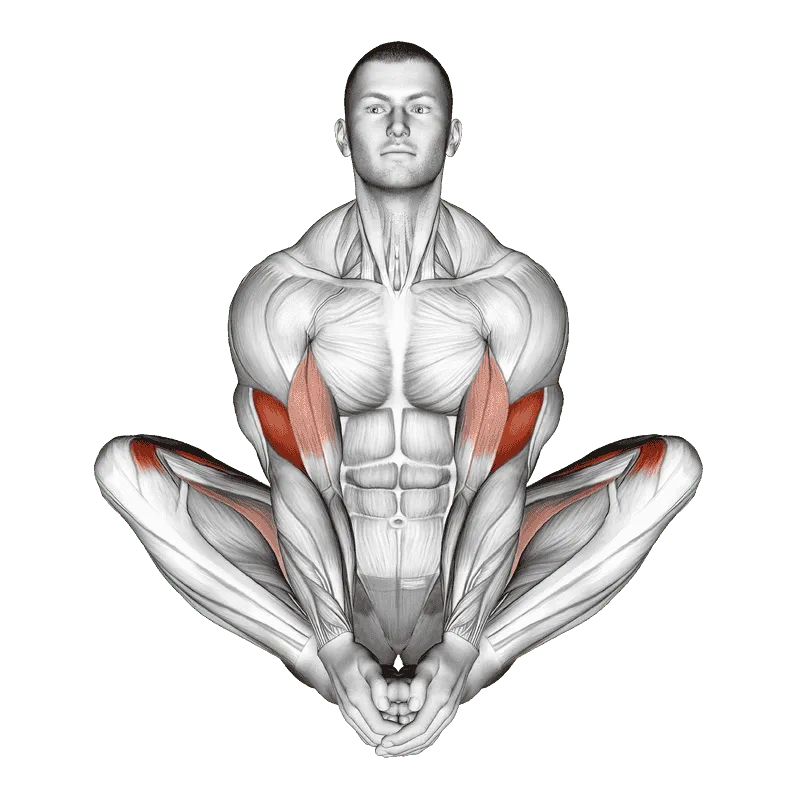 Butterfly Yoga Pose